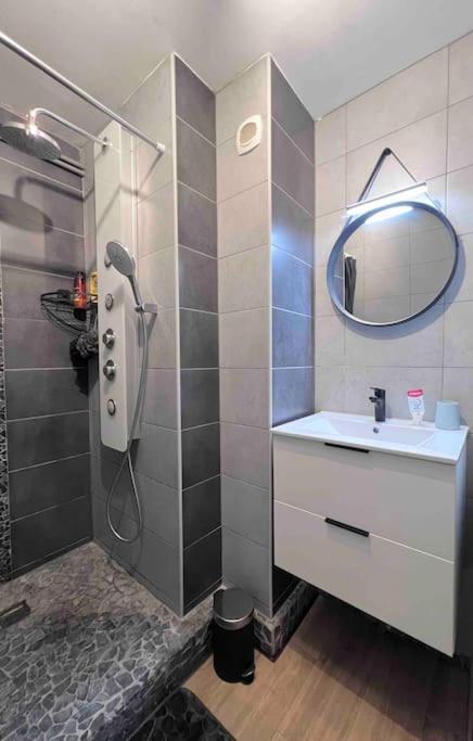 Apartment Confort Et Elegance A 250m De L'em Lyon